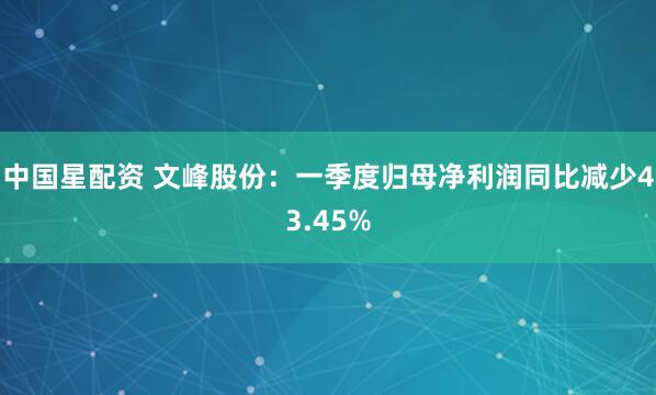 中国星配资 文峰股份：一季度归母净利润同比减少43.45%