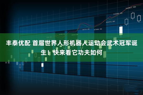 丰泰优配 首届世界人形机器人运动会武术冠军诞生！快来看它功夫如何