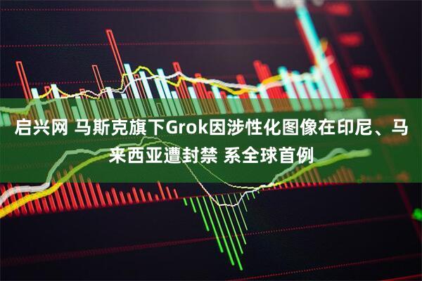 启兴网 马斯克旗下Grok因涉性化图像在印尼、马来西亚遭封禁 系全球首例